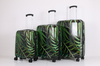Walizka mała kabinowa SAXOLINE Palm Leaves S