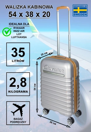 Walizka mała kabinowa Cavalet PASADENA srebrna